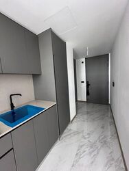 The Landmark (D3), Condominium #514789321
